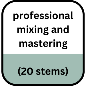 Mixing And Mastering (Up to 20 Stems)