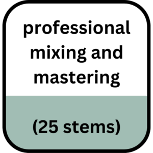 Mixing And Mastering (Up to 25 Stems)