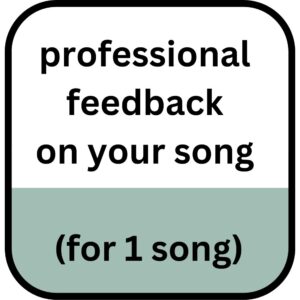 Professional Feedback on Your Song
