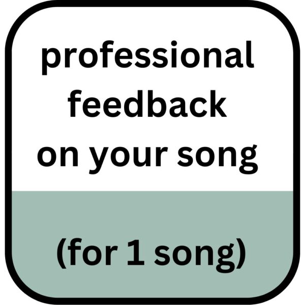 Professional Feedback on Your Song
